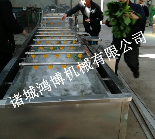 銀耳清洗機(jī)