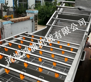 人參清洗機