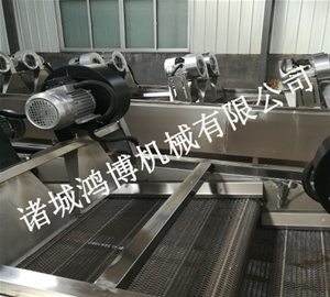 全自動(dòng)果蔬清洗風(fēng)干機(jī)