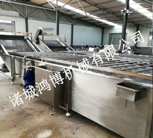 藥材清洗機(jī)