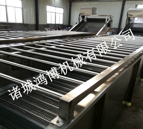 荷蘭豆清洗機(jī)