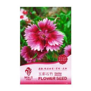 五彩石竹 花卉 種子 50粒(花語:純潔的愛 才能 大膽)- 家庭 盆栽 花卉 種子 陽臺 種植 【PRIS】 價格 報價 圖片 - 亞馬遜中國