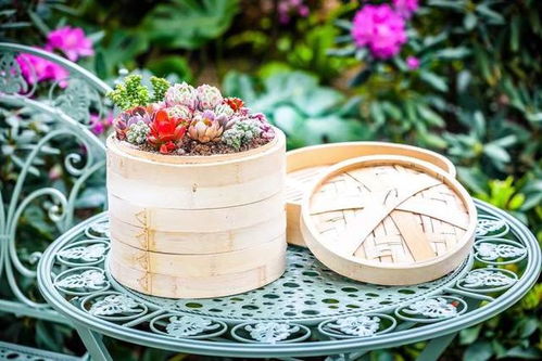 家國(guó)情懷意蘊(yùn)遠(yuǎn),花開富貴迎新春,辰山植物園2022新春花卉展即將開幕