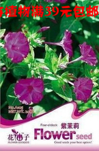 【紫茉莉種子】最新最全紫茉莉種子 產品參考信息