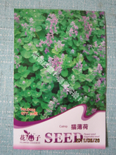 【香料種子】最新最全香料種子 產品參考信息
