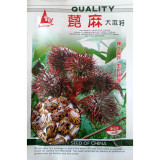 我要發(fā)芽 花卉種子 紅蓖麻種子 多年生觀賞蓖麻 春播 庭院種植 100克/包怎么樣|好不好|如何-蘇寧易購(gòu)