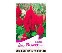 花卉火炬企業(yè)黃頁