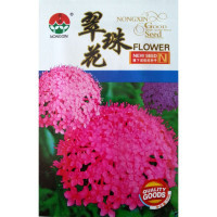 我要發(fā)芽 花卉種子 翠珠花種子 花壇花卉 陽(yáng)臺(tái)盆栽 混色 鮮艷奪目 50粒/包【專(zhuān)賣(mài)店、旗艦店、報(bào)價(jià)大全】-蘇寧易購(gòu)開(kāi)放平臺(tái)