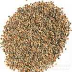 優質紫羅蘭種子批發盆栽花卉種子 紫羅蘭花籽 花卉草花種子