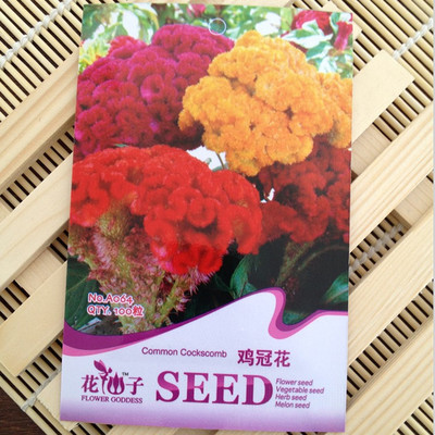 雞冠花種子混色100粒 花色艷麗 觀賞花卉 陽臺花卉種子 盆栽 易種 圖片_高清大圖 