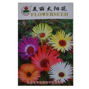 津沽園藝 芳萱苑系列 美麗太陽(yáng)花種子 花卉種子 花種子 家庭種植 陽(yáng)臺(tái)栽培 1包-津沽園藝-價(jià)格 報(bào)價(jià) 圖片