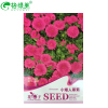 【小矮人翠菊 花卉種子陽臺園藝休閑產品 彩色精品包裝和紙上種芽苗菜種子無土栽培陽臺種菜蕎麥蘿卜空心菜雙維藤小麥種子 陽臺種菜 豌豆500g哪個好】小矮人翠菊 花卉種子陽臺園藝休閑產品 彩色精品包裝和紙上種芽苗菜種子無土栽培陽臺種菜蕎麥蘿卜空心菜雙維藤小麥種子 陽臺種菜 豌豆500g有什么區別-商品比較-