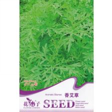 精品推薦驅蚊香草花卉種子