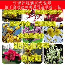 【耐寒梅花】最新最全耐寒梅花 產品參考信息