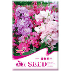 辦公室花卉選擇與種植指南 品種推薦、價(jià)格解析與花卉種子簡介