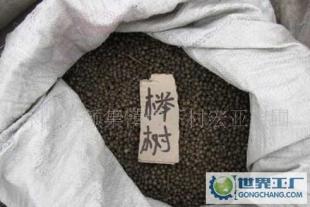 優(yōu)質(zhì)櫸樹(shù)種子與各類花卉園藝種子的精選指南